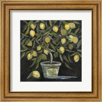 Framed Lemon Tree