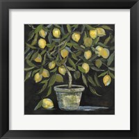 Framed Lemon Tree