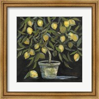 Framed Lemon Tree