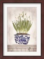Framed Blue and White Daffodils II