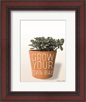 Framed Succulent Grow Your Own Way