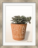 Framed Succulent Grow Your Own Way