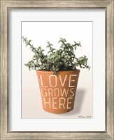 Framed Succulent Love Grows Here