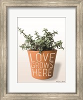 Framed Succulent Love Grows Here