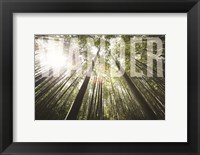 Framed Wander