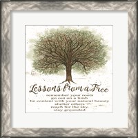 Framed Lessons From a Tree