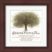 Framed Lessons From a Tree