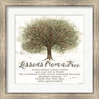 Framed Lessons From a Tree