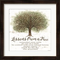 Framed Lessons From a Tree