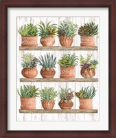 Framed Succulents on Shelves