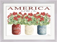 Framed America Glass Jars