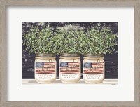 Framed Patriotic Glass Jar Trio II