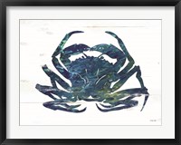 Framed Blue Coastal Crab