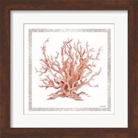 Framed Pink Coastal Coral I