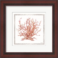 Framed 'Pink Coastal Coral I' border=