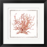 Pink Coastal Coral I Framed Print