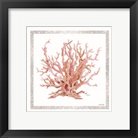 Framed 'Pink Coastal Coral I' border=