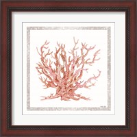 Framed 'Pink Coastal Coral II' border=