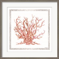 Framed Pink Coastal Coral II