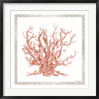 Framed Pink Coastal Coral II