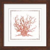 Framed Pink Coastal Coral II