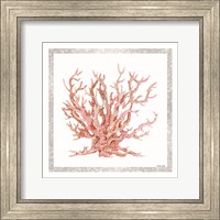 Framed 'Pink Coastal Coral II' border=