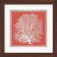 Framed Coastal Coral on Red I