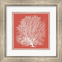 Framed 'Coastal Coral on Red I' border=