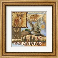 Framed Wilderness