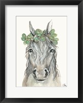 Framed Eucalyptus Horse