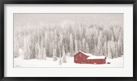 Framed Old Wyoming Barn