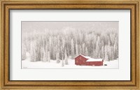 Framed Old Wyoming Barn