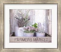 Framed Farmer's Lavender