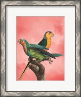 Framed Birds and the Pink Sky I