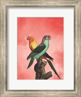 Framed Birds and the Pink Sky II