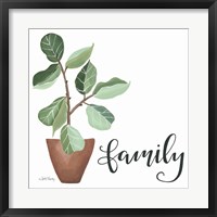 Framed Plant Family