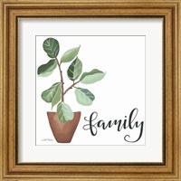 Framed Plant Family