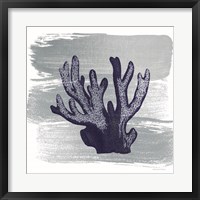 Framed Brushed Midnight Blue Elkhorn Coral