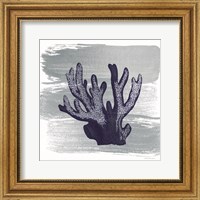 Framed 'Brushed Midnight Blue Elkhorn Coral' border=