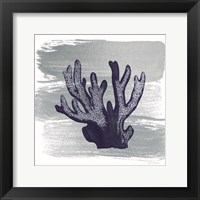 Brushed Midnight Blue Elkhorn Coral Framed Print