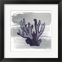 Framed 'Brushed Midnight Blue Elkhorn Coral' border=