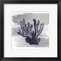Framed 'Brushed Midnight Blue Elkhorn Coral' border=