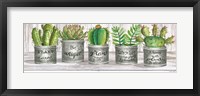 Framed Galvanized Pot Succulents I