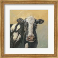 Framed Pretty Cow