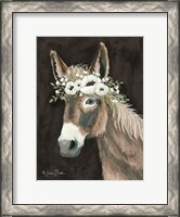 Framed Donkey