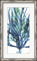 Framed Soft Seagrass in Blue 1