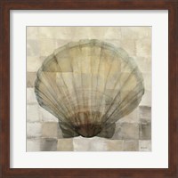 Framed Scallop Shell