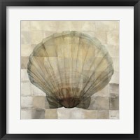 Scallop Shell Framed Print