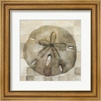 Framed Sand Dollar