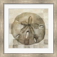 Framed Sand Dollar